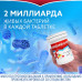Бифиформ Кидс апельсиново-малиновые с 3-х лет таблетки жевательные 20 шт Бифиформ Кидс апельсиново-малиновые с 3-х лет таблетки жевательные 20 шт