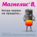 Магнелис В6 таблетки покрыт.об. 48 мг+5 мг 90 шт Магнелис В6 таблетки покрыт.об. 48 мг+5 мг 90 шт
