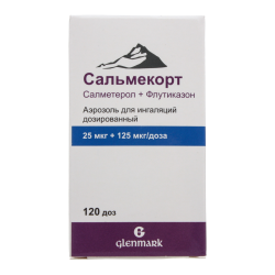 Сальмекорт аэрозоль для ингаляций дозированный 25 мкг+125 мкг/доза 120 доз 1 шт Сальмекорт аэрозоль для ингаляций дозированный 25 мкг+125 мкг/доза 120 доз 1 шт