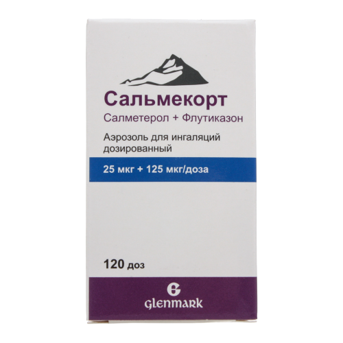 Сальмекорт аэрозоль для ингаляций дозированный 25 мкг+125 мкг/доза 120 доз 1 шт