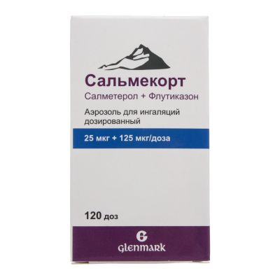Сальмекорт аэрозоль для ингаляций дозированный 25 мкг+125 мкг/доза 120 доз 1 шт